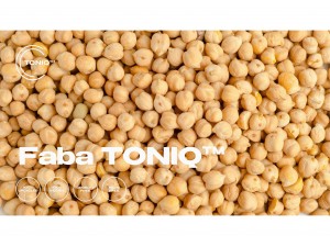 Faba TONIQ [컬 유지]